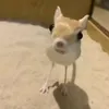 qteimporta_a1