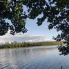 lybaczek_9023