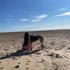 georgie_again