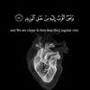 jana_ahmed0123