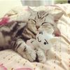 annisa_humaira11