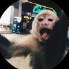 maria__dgg