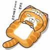 bobo971203
