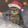 rizz_skibidii