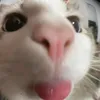 anniejen_265