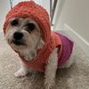 lindsay_5467