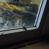 zyyangw