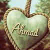 ahmadabbas3813