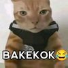 my.acc.got.ban