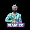 siam.5x0