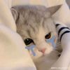 littlemov3