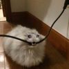 i_exist_so_what_