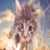 mario_bario19