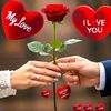 QUEEN OF LOVE🌹🌹