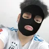 hlee_lion