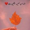 user2495286020261