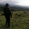 alfancaisarridhop
