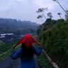 dinnazimaa