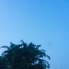 user12211194936362