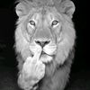 real._real00