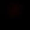 user7532216998
