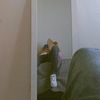 pedro__julio16