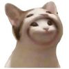 user7249217597976