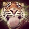 agysha_mal