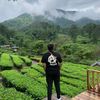 abcklepon29