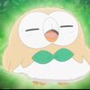 roooowlet