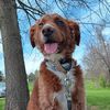 muttbutt621