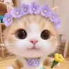 ng.ch.mo.m