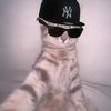 callme_steriio
