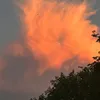 monkey_banan.a
