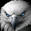 eaglekingjet