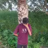 munuara4
