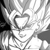 vegetto_dbl_777