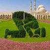 ahmad.h718