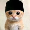 user8438822196887