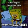 user7542197151503