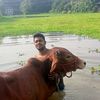 mohor.dakat