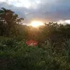 mario.coralde