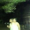 moon.if5