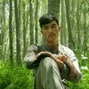 mudassirshigri786