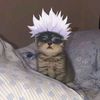 urlvv_nana