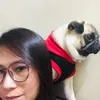 graceyalfonso