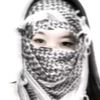 mamail537