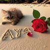 ayaaabdubalolaa