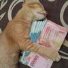 baguspvnk7