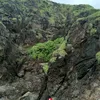 vnp095